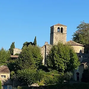Chateau Emile Loubet - Marechal Foch La Bégude-de-Mazenc